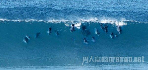 指挥官营救